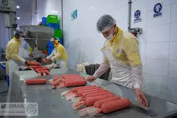 سقوط صادرات صنعت غذا در 6 سال + نمودار