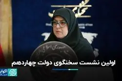 اولین نشست خانم سخنگو برگزار شد: از FATF تا معدن زغال سنگ