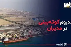 سندرم کوته بینی در مدیران صنعتی
