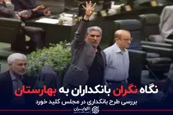 نگاه نگران بانکداران به بهارستان