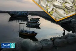 هرمزگان سیمرغ ایران