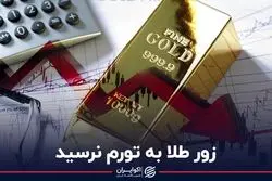 زور طلا به تورم نرسید