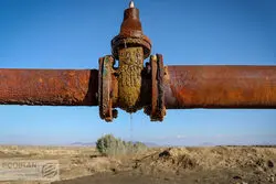 سهم ناچیز کشاورزی  و معدن در اقتصاد استان تهران
