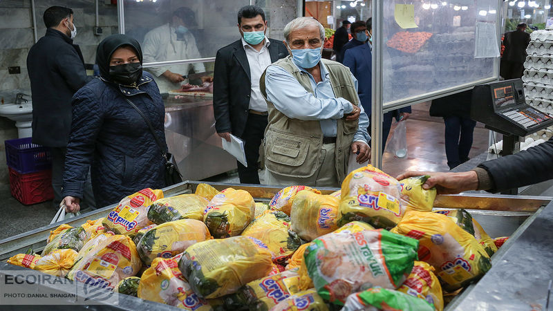 برزیل، تامین‌کننده اصلی مرغ ایران  