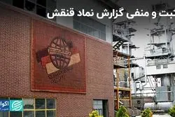 مثبت و منفی گزارش نماد قنقش