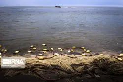 آینده ترسناک دریای خزر؛ کاهش محسوس مساحت دریا 