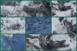 انهدام یک فروند موشک کروز در روستای جاسب 