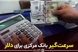 سرعت‌گیر بانک مرکزی برای دلار