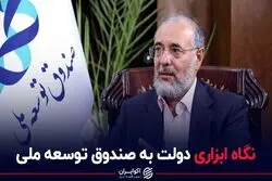 نگاه ابزاری دولت به صندوق توسعه ملی