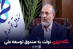 نگاه ابزاری دولت به صندوق توسعه ملی