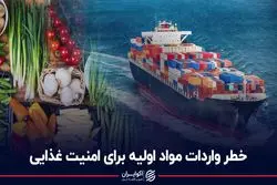 خطر واردات مواد اولیه برای امنیت غذایی
