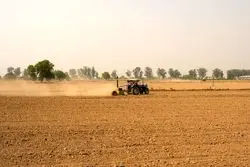 کشت اجباری 31 استان/ نیمکت نشینان غلات مشخص شدند