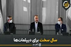 سال سخت برای دیپلمات‌ها