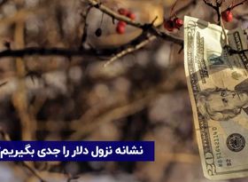 نشانه نزول دلار را جدی بگیریم؟