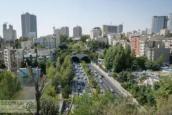 امروز در تهران چه خبر بود؟/ از بیماری جدید درختان چنار تا آخرین وعده اتوبوسی مدیران شهری 