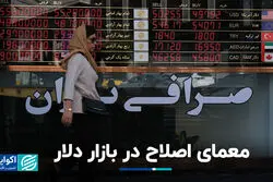 معمای اصلاح در بازار دلار