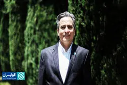 نژادسازی، جعل تاریخ ایران است