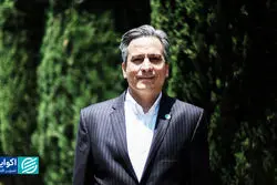 نژادسازی، جعل تاریخ ایران است