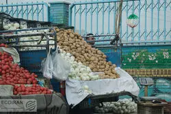 رئیس اتحادیه بارفروشان: قیمت سیب‌زمینی تا کمتر از یک هفته دیگر کاهش می‌یابد
