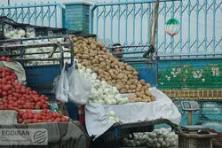 کاهش چشمگیر قیمت سیب زمینی