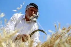 راهکار عرب‌ها برای بحران غذا؛ ساخت اوکراین در آفریقا