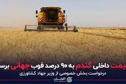 قیمت داخلی گندم به 90 درصد فوب جهانی برسد
