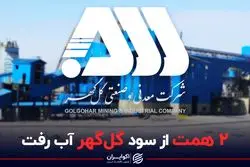 2 همت از سود گل‌گهر آب رفت