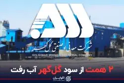 2 همت از سود گل‌گهر آب رفت