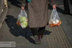 قیمت کاهو به کیلویی ۱۲۰ هزار تومان رسید!