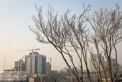  نوسازها درتهران بی مشتری ماندند