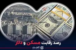 رصد رقابت مسکن و دلار