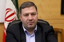 اعتراف عجیب عضو هیئت رئیسه مجلس مجلس؛ حریف مافیای خودرو نیستیم؛ استیضاح وزیر هم چاره‌ساز نیست!