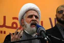 شیخ نعیم قاسم: محور مقاومت مدیون ایران است
