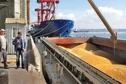 روسیه صادرات غلات را گران کرد؛ افزایش عوارض صادراتی گندم، ذرت و جو