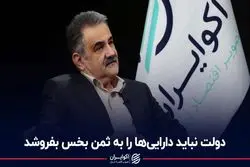 دولت نباید دارایی‌ها را به ثمن بخس بفروشد