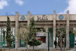 واژه‌ها درمان نمی‌کنند؛ روایت‌های متفاوت از خودکشی یک دانشجو
