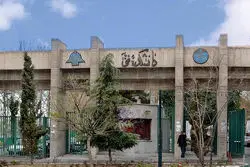 واژه‌ها درمان نمی‌کنند؛ روایت‌های متفاوت از خودکشی یک دانشجو