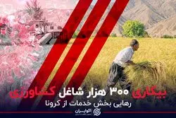بیکاری ۳۰۰ هزار شاغل کشاورزی
