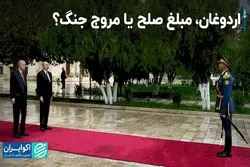 اردوغان، مبلغ صلح یا مروج جنگ!