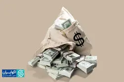 مالک ارز صادراتی کیست؟