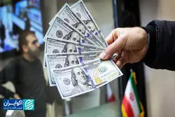 صحت‌سنجی یک ادعا: دولت دیگر ارز ندارد؟