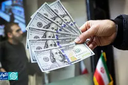 صحت‌سنجی یک ادعا: دولت دیگر ارز ندارد؟