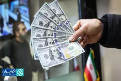 صحت‌سنجی یک ادعا: دولت دیگر ارز ندارد؟