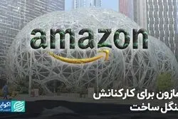 جنگل کروی در آمازون