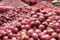 نقشه دولت رییسی برای گرانی پیاز