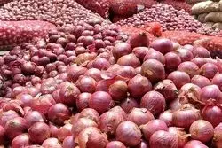 نقشه دولت رییسی برای گرانی پیاز
