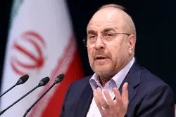 ببینید/ واکنش رئیس مجلس به ۳ نرخی شدن قیمت بنزین  