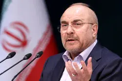 ببینید/ واکنش رئیس مجلس به ۳ نرخی شدن قیمت بنزین  