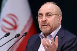 ببینید/ واکنش رئیس مجلس به ۳ نرخی شدن قیمت بنزین  