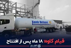 تعطیلی یک تولیدکننده بزرگ در اعتراض به افزایش قیمت‌ خوراک پتروشیمی